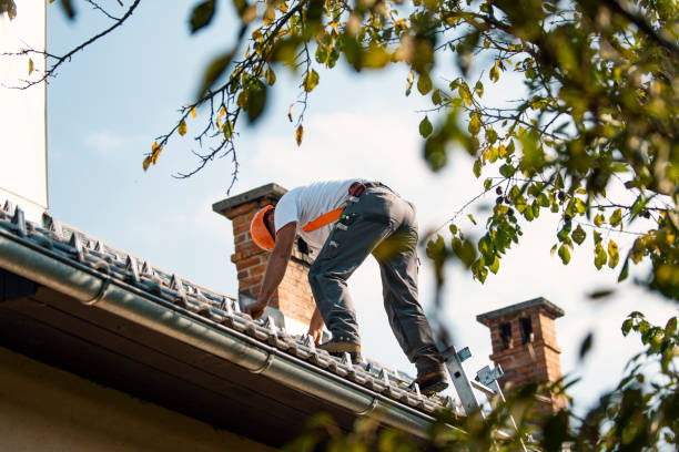 Best Best Roofing Contractors  in Ranchester, WY