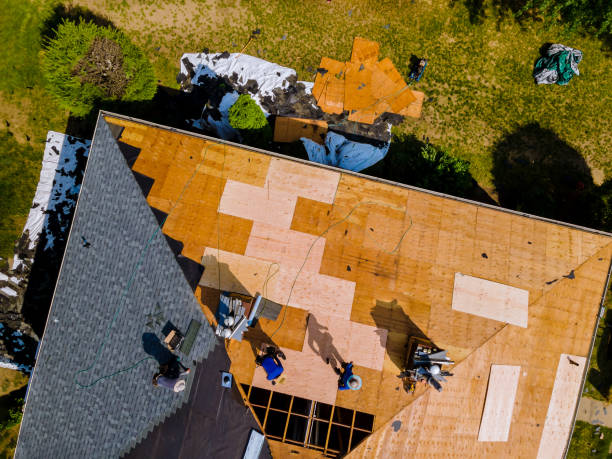 Best Best Roofing Contractors  in Ranchester, WY