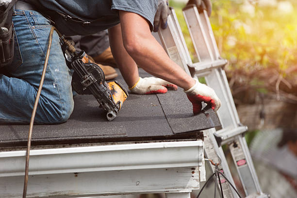 Best Metal Roofing Contractor  in Ranchester, WY