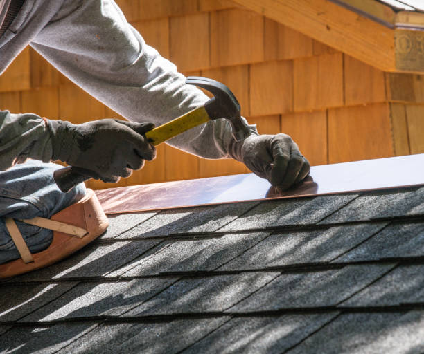 Best Roof Gutter Cleaning  in Ranchester, WY